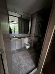 Leedon Green (D10), Condominium #423365381